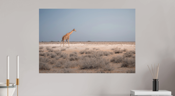 Photo D'art Animal - Antony Greenwood - "Dans la lumière d'Etosha" – Image 2